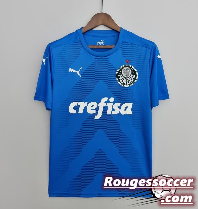 Palmeiras Goalkeeper Kit Soccer Jersey Blue 2022/23